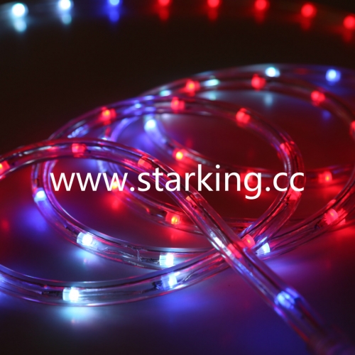 2 WIRE LED ROPE LIGHT-FLASH